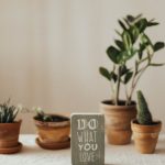 Aesthetic indoor setting with potted plants and motivational sign. Perfect for nature-inspired interiors.