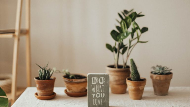 Aesthetic indoor setting with potted plants and motivational sign. Perfect for nature-inspired interiors.